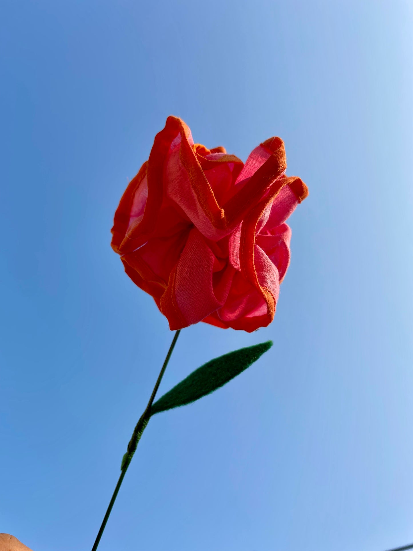 Mog Flower