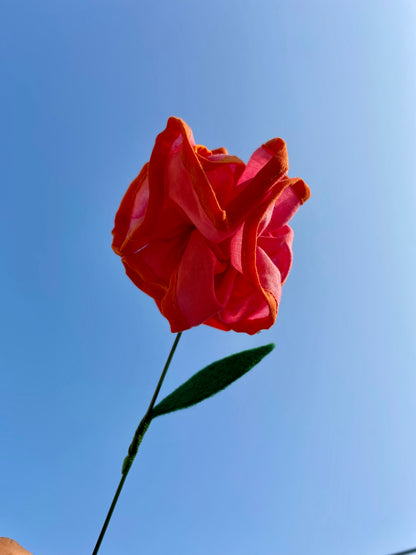 Mog Flower